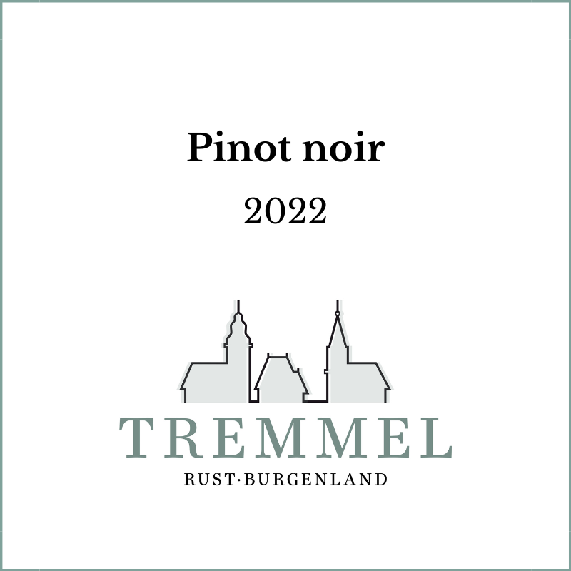 Pinot Noir 2023, trocken / 0,75l